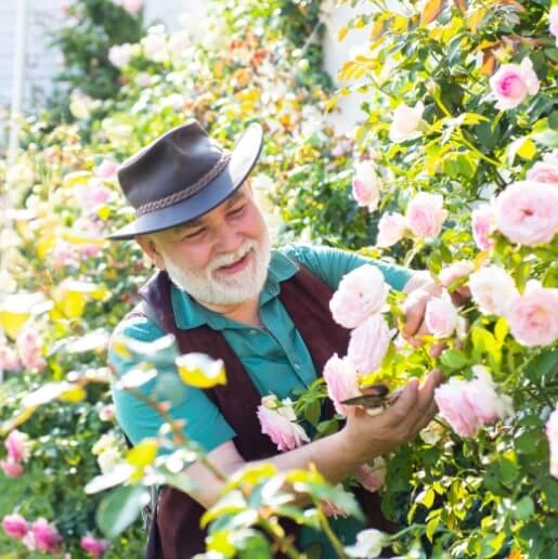 Robert: cukier przestał szaleć, a ja czuję się o wiele lepiej!
